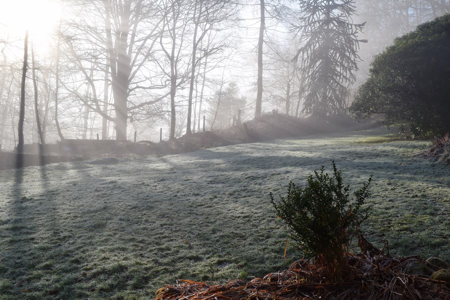 Mist