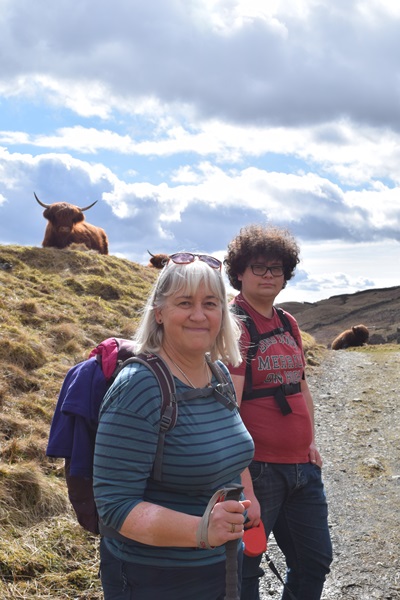 Highland Cow