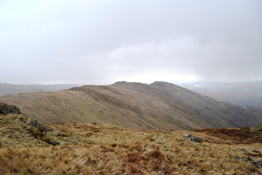 View back