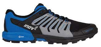Shoe