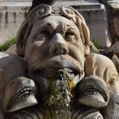 face