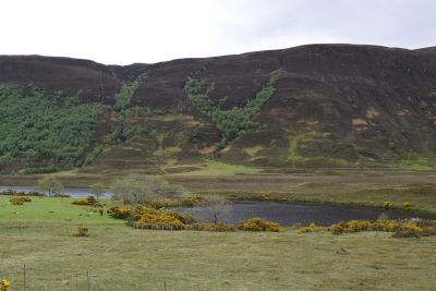 Dughaill