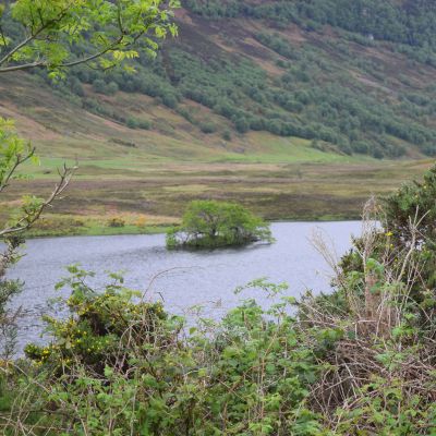 Dughaill