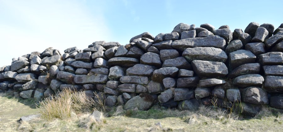 Wall